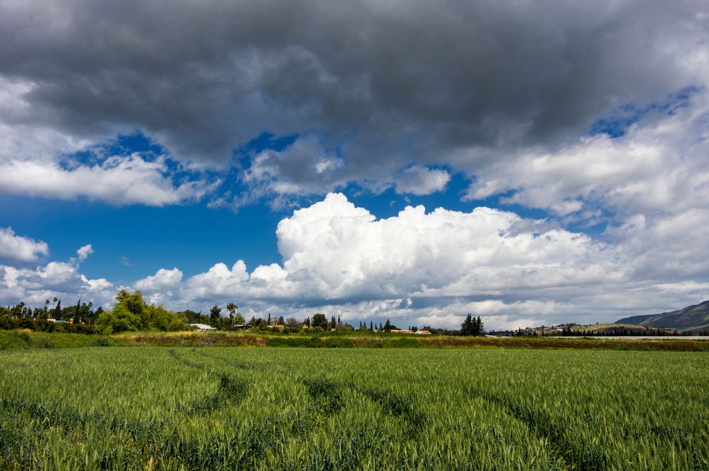 שדות הקיבוץ בעמק הירדן