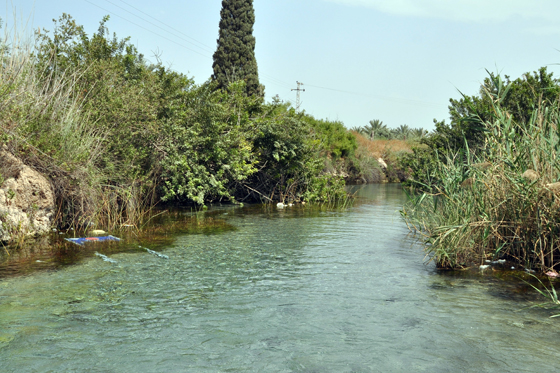 נחל בעמק המעיינות